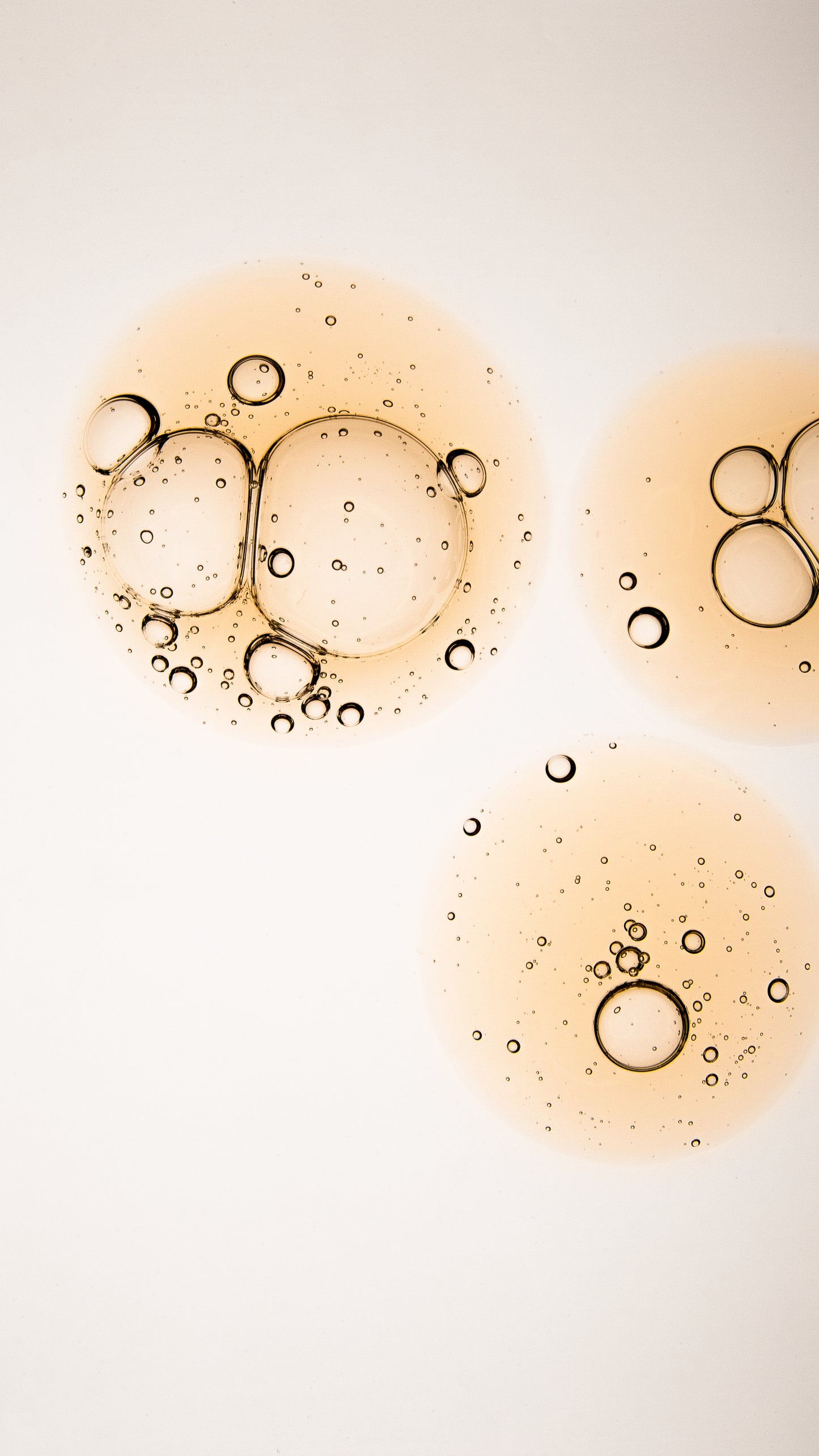 Kombucha Lifting Serum